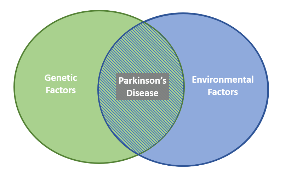A Venn diagram showing Genetic Factors and Environmental Factors overlapping in the middle, where Parkinson’s Disease is labeled. Indicates both factors contribute to the disease.