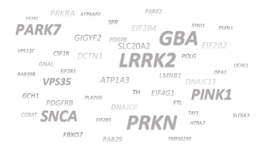 A word cloud displaying various gene names related to Parkinson’s disease. “LRRK2,” “GBA,” “PRKN,” “PINK1,” “PARK7,” “SNCA,” and "VPS35" are emphasized in larger, bold font.